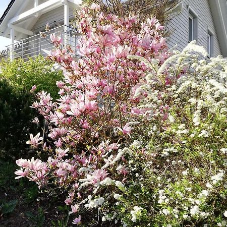 Gaestezimmer Ahornweg Villingendorf 외부 사진